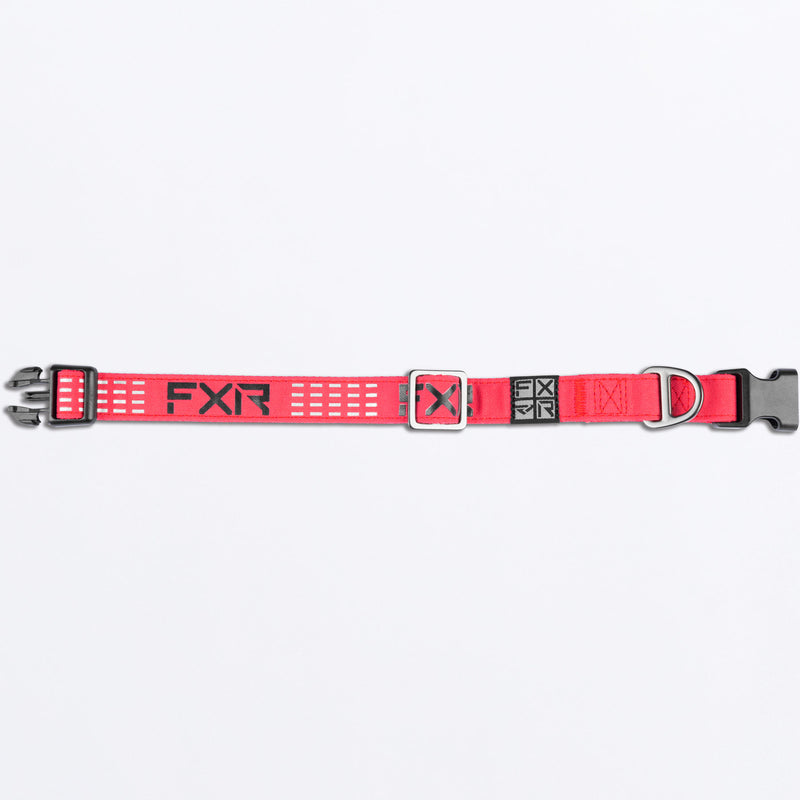 Dog_Collar_RazzBlack_243600-_2810_Detail